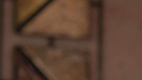 Angélica Celaya participa en "Preso No. 1" de Telemundo