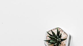 Gracias a estas apps, podrás tener un mejor control del dinero que entra y sale de tu cartera.