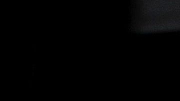 Menos del 5% de la población escoge un auto estándar