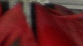 ¿Qué productos usan en el car wash?