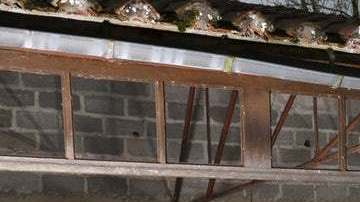 No se sabe exactamente por qué o quién coleccionaba los autos, solo que estos fueron heredados con el pasar de las generaciones