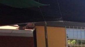 Los Rojos dan golpe a "El Mencho", le matan líder regional del CJNG frente a niños en kínder