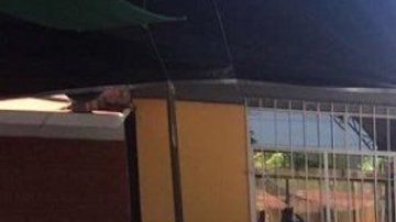 Los Rojos dan golpe a "El Mencho", le matan líder regional del CJNG frente a niños en kínder