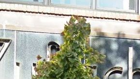 "First Choice Barbers",  Stanton Street, NYC