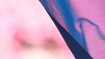 Toda la belleza en los estadios de la Liga MX