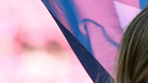 Toda la belleza en los estadios de la Liga MX