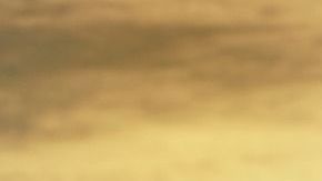 Caminar no solo te mantiene en forma, sino que previene muchas enfermedades.