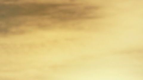 Caminar no solo te mantiene en forma, sino que previene muchas enfermedades.