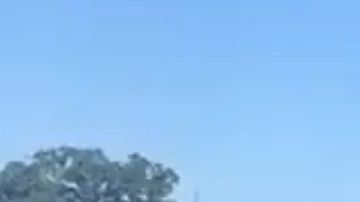 Los activistas tienen un calendario de actividades en varios puntos.