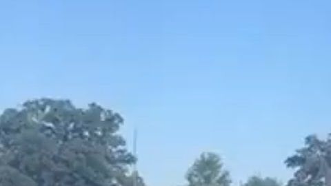 Los activistas tienen un calendario de actividades en varios puntos.