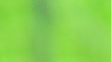 Tras la traición de traer a Oribe Peralta, emblema del América, a Chivas; ahora la directiva del rebaño confirmó la llegada de Antonio “Pollo” Briseño como refuerzo para la siguiente temporada.