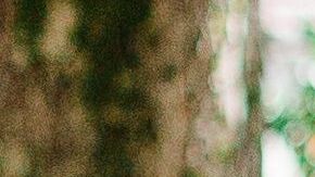 Recomiendan no quedarse dentro de la casa si no tiene aire o ventiladores.