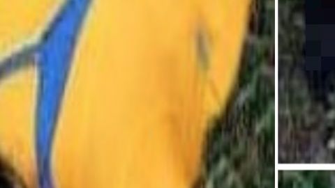 Brutalidad de narcos, hasta el cuero cabelludo le arrancaron a mujer