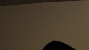 La cotización de la compañía ha caído tras el anuncio del presidente.