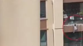 El pequeño trató de trepar, pero no aguantó y terminó por soltarse.