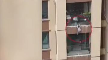 El pequeño trató de trepar, pero no aguantó y terminó por soltarse.