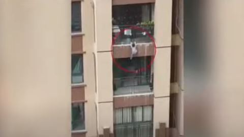 El pequeño trató de trepar, pero no aguantó y terminó por soltarse.