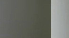 La caja, al fondo del congelador