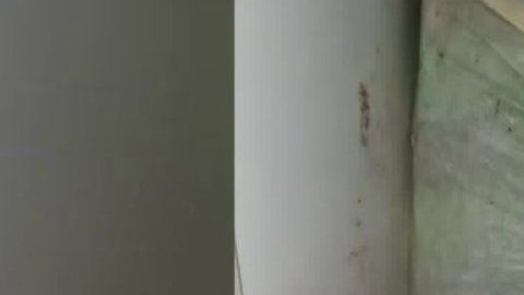 La caja, al fondo del congelador