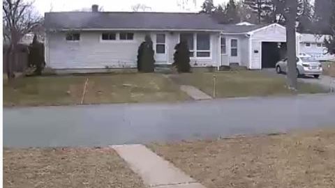 Al girar la cámara, se topó con algo inesperado.