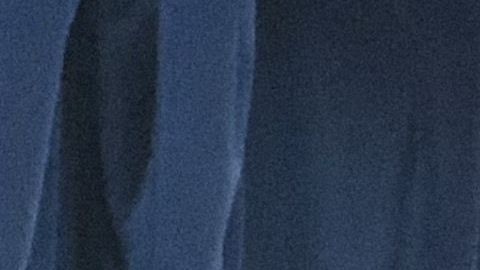 El último mensaje de Provost en el grupo habría sido inofensivo.