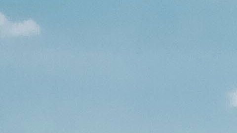 Es un mundo de autos abandonados