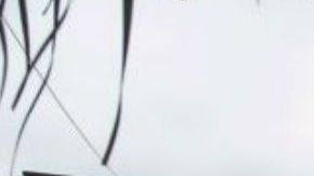 Así luce la casa de Doña Consuelo, mamá de "El Chapo"