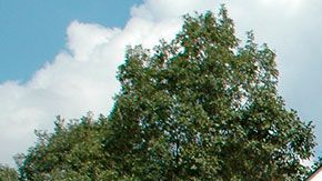 Esta es probablemente la mayor inversión que harás en tu vida, así que más vale indagar lo más posible antes de hacerla.