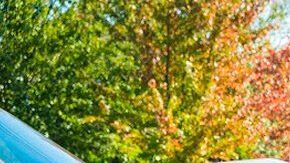 choque-por-atrc3a1s-1