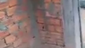 El cocodrilo traía en el hocico el cráneo de la menor.