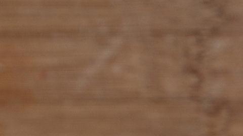 Sanas, deliciosas y llenas de energía.