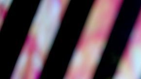 El concierto será transmitido en vivo y sólo algunas canciones estarán disponibles después.