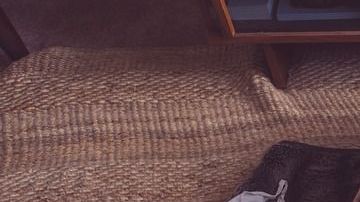 couple-731890_960_720