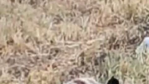 Cuerpos Cadereyta Nuevo León