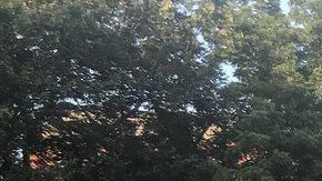 Cientos  piden cerrar los centros de detención de inmigrantes, en Washington DC.
