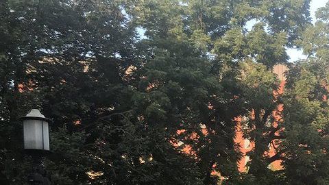 Cientos  piden cerrar los centros de detención de inmigrantes, en Washington DC.