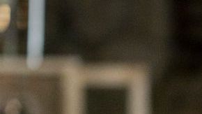 David Harbour en "Frankenstein's monster's monster, Frankenstein"