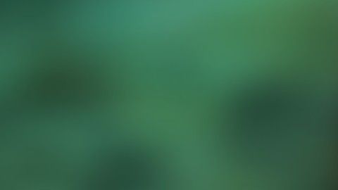 Deyna Castellanos es la guapa delantera de la vinotinto y quieres ser periodista de deportes