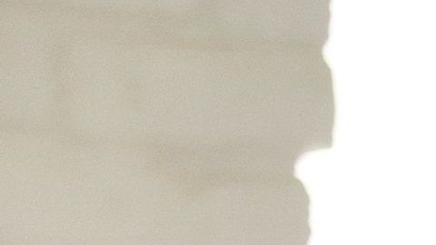 No permitas un ambiente laboral negativo.