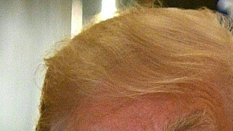 El presidente Trump ahora critica al reverendo Al Sharpton.