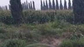 El cuerpo del hombre fue hallado en en el dren de Valsequillo.