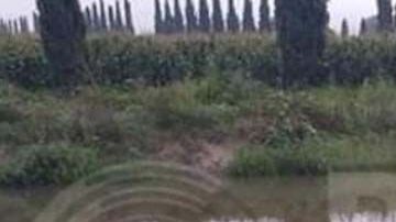 El cuerpo del hombre fue hallado en en el dren de Valsequillo.