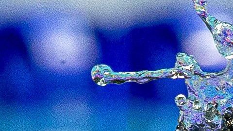 Caeleb Dressel es la nueva sensaciòn de la natación mundial y espera tener una histórica participación en Tokio 2020