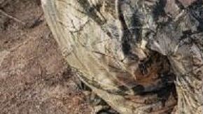 Los agentes detectaron el paso ilegal de los traficantes a las 7 de la mañana.