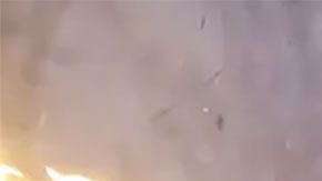 Debes saber que sólo te venderán el lanzallamas, por lo que tú deberás proporcionar un dron apropiado para montarlo.