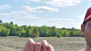 El maestro guardó la piedra en una bolsa junto con otras rocas que recolectó.