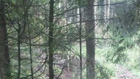 Ejecutados Ajusco CDMX