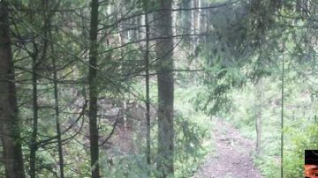 Ejecutados Ajusco CDMX