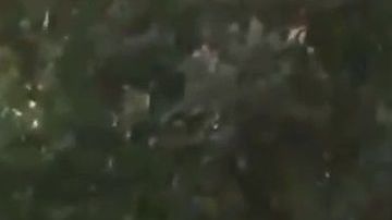 Los hechos ocurrieron a la 1:20 de la madrugada.