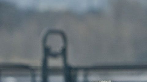 Gerente de rancho es sólo uno de los muchos empleos en donde no necesariamente tienes que estar con los nervios de punta todo el tiempo.